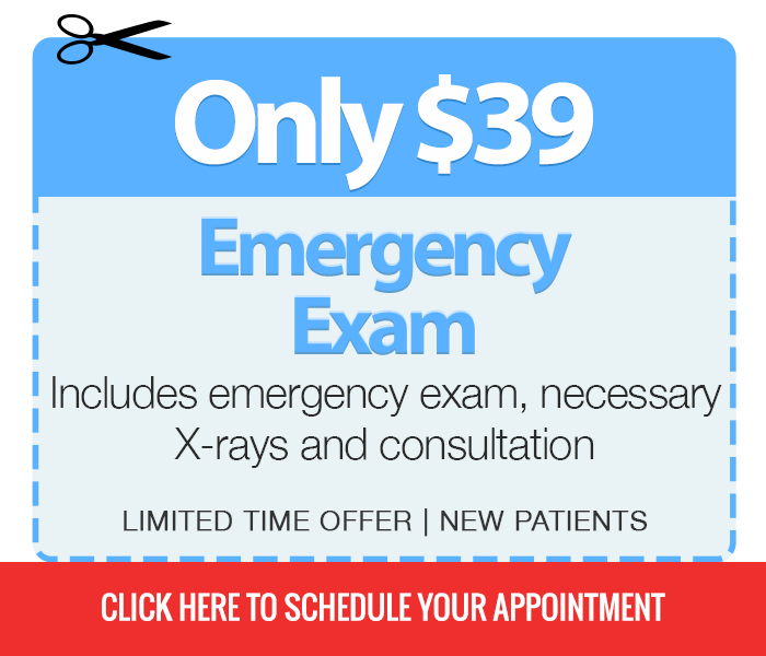 Holbrook Dentist